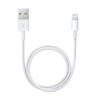 Lightning To USB Cable (0.5 M)
