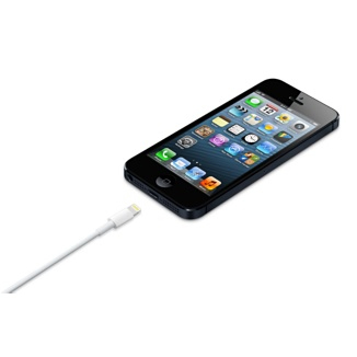 Lightning To USB Cable (0.5 M)