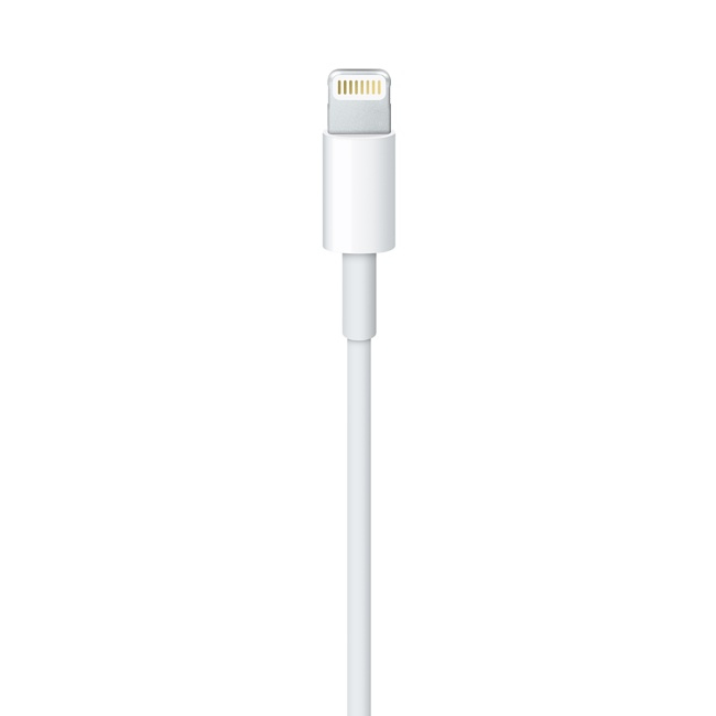 Lightning To USB Cable (2 M)