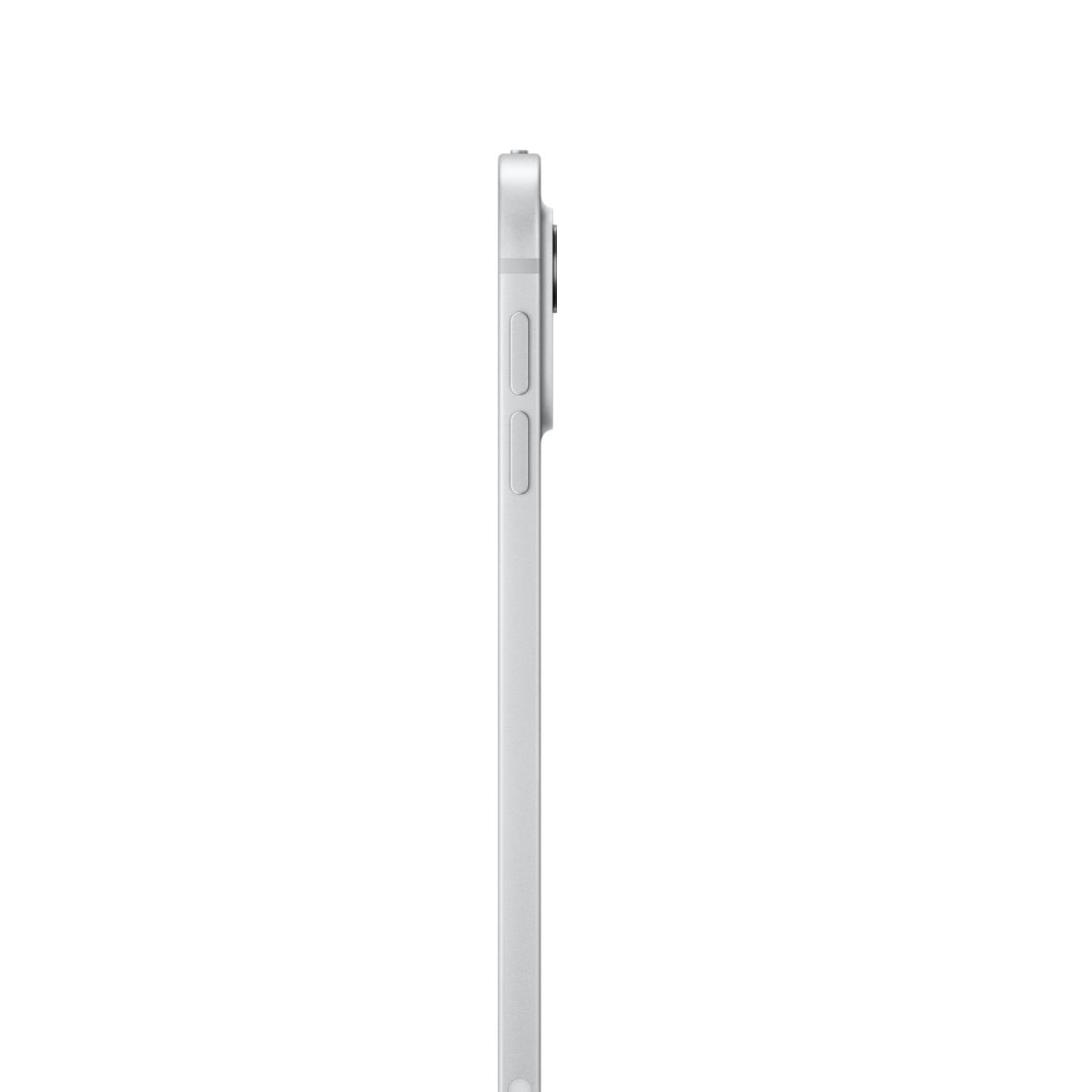 iPad Pro - M4 - 11in - Wi-Fi + Cellular - 1TB - Silver - Nano-texture Glass