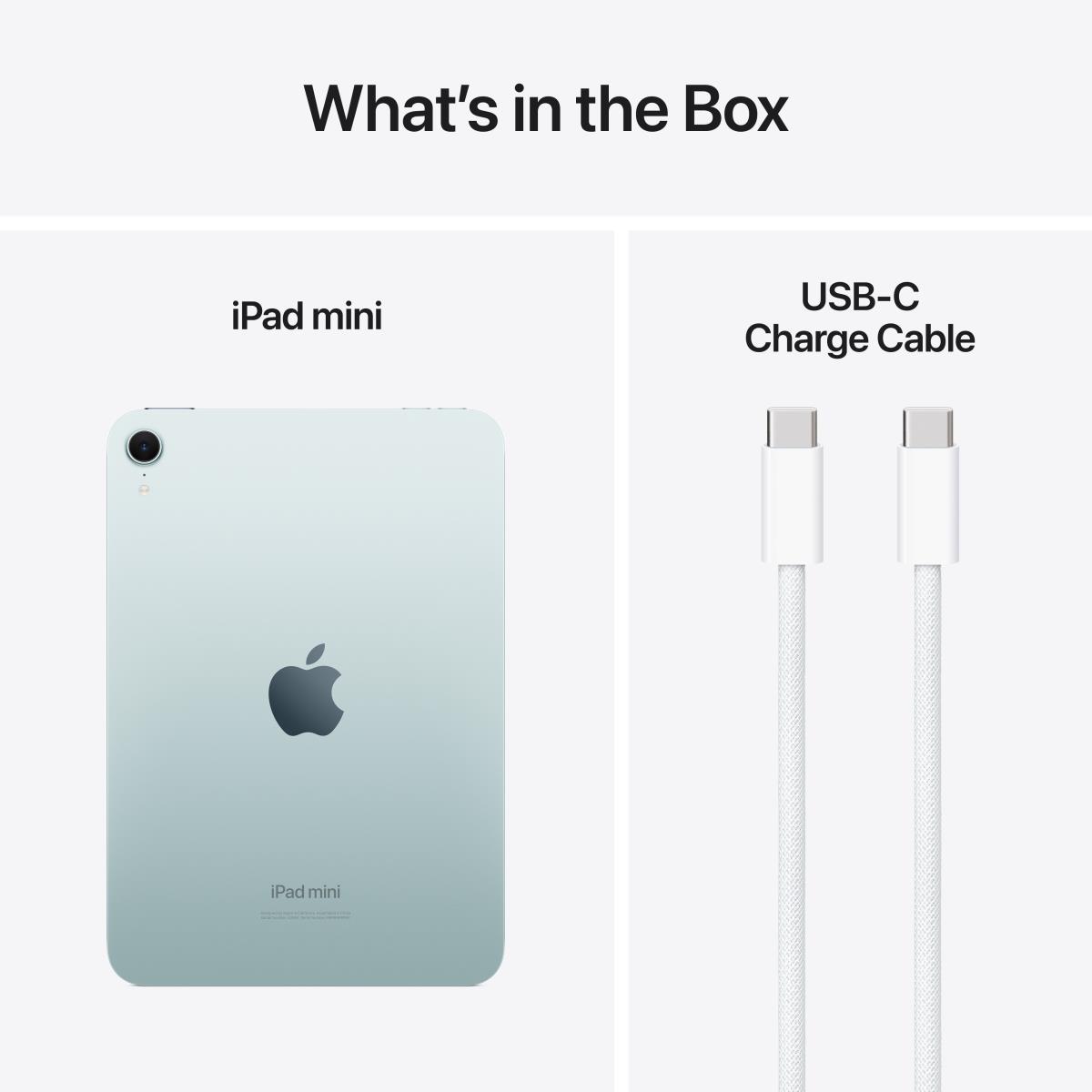 iPad Mini Wi-Fi 256GB - Blue