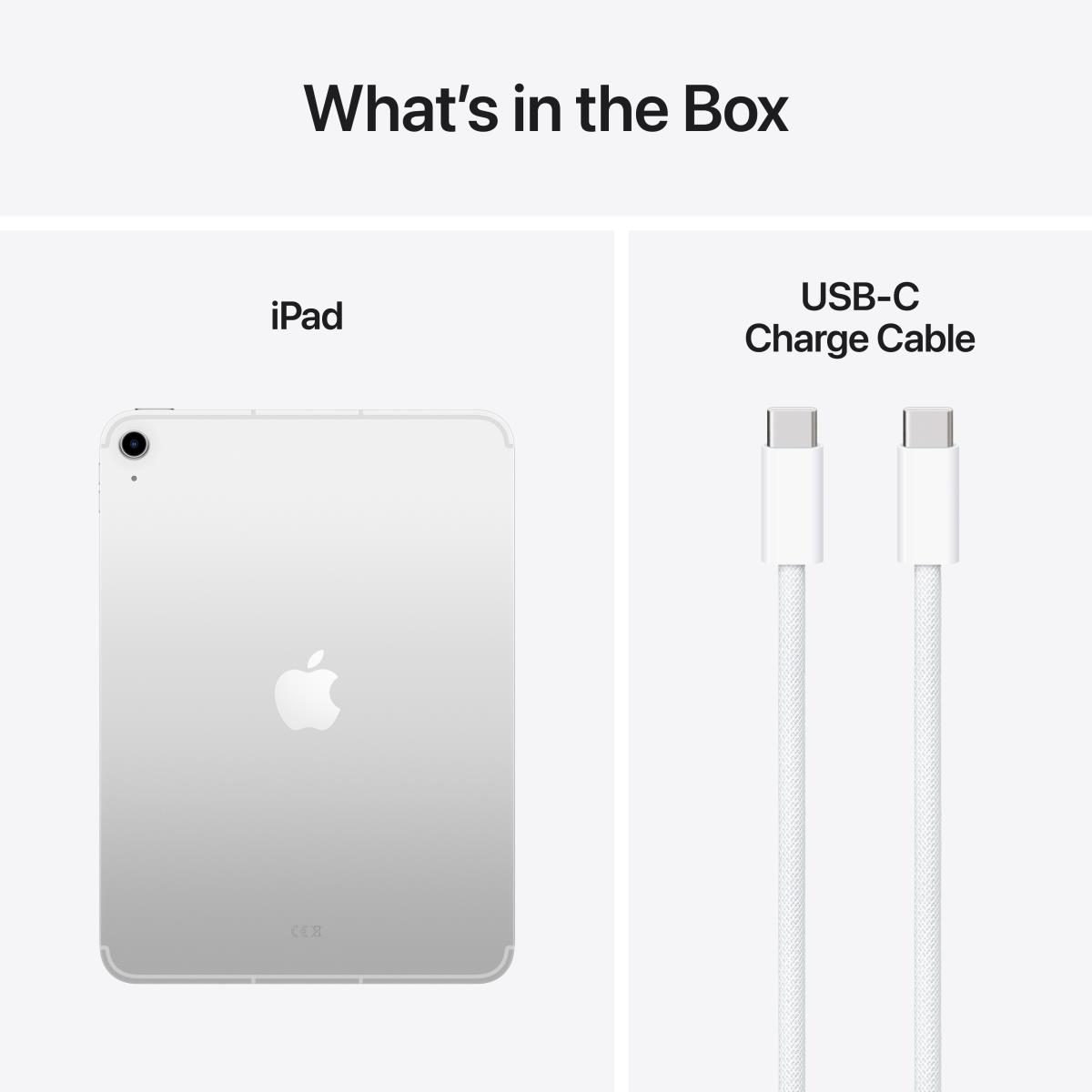 iPad (2025) - 11in - Wi-Fi + Cellular - 256GB - Silver
