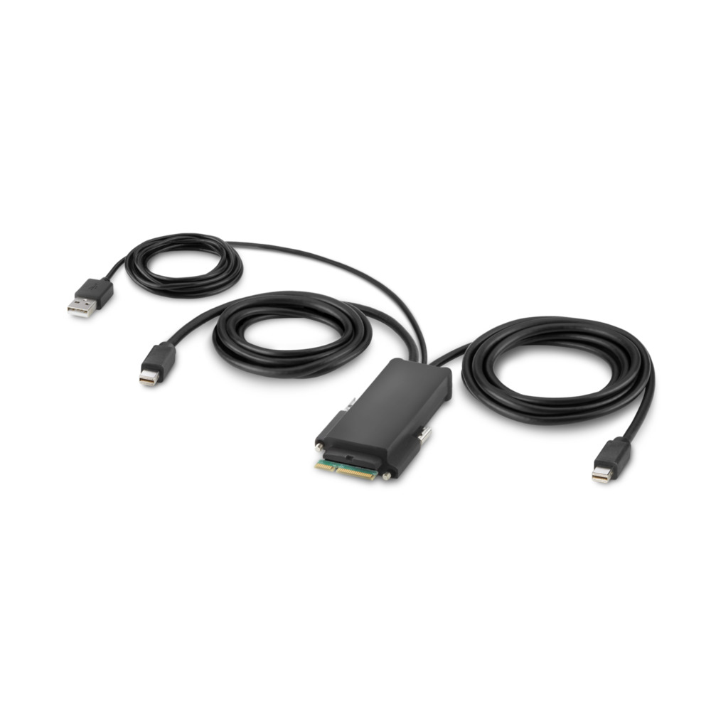 Modular Mini Dp Dual Head Host Cable 1.8m