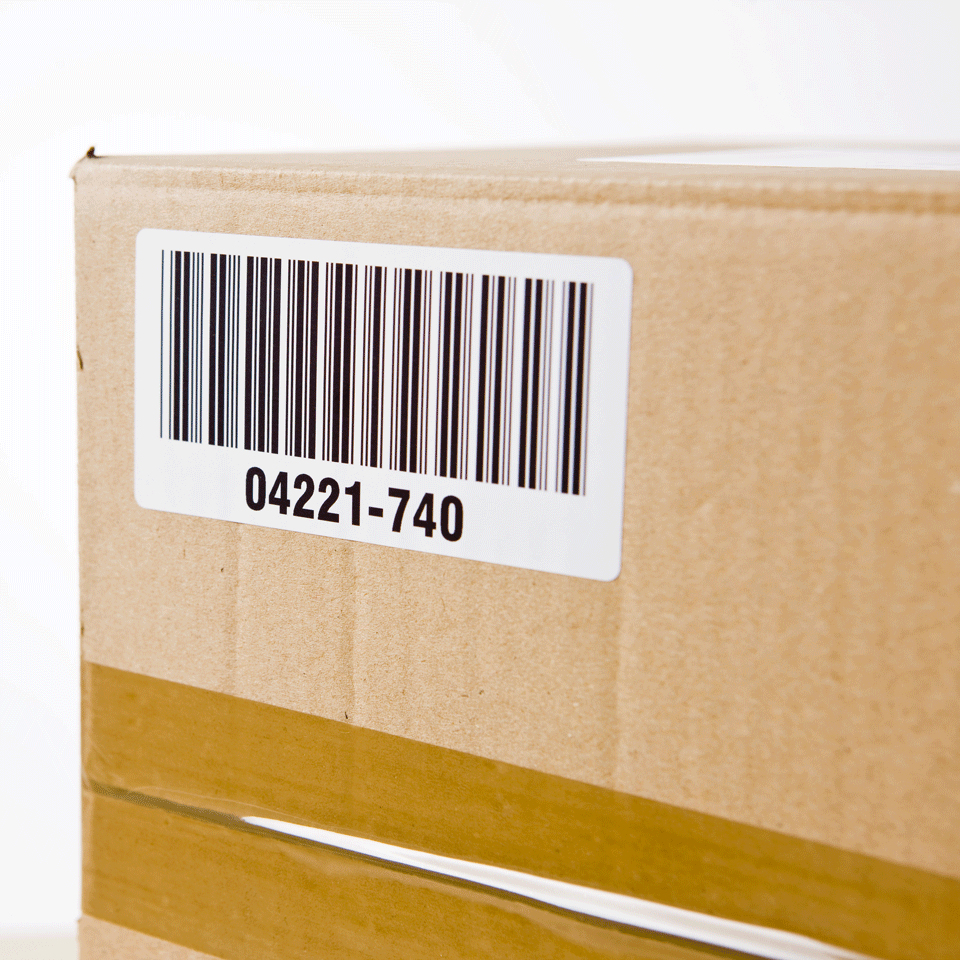 Small Address Label (29x62mm) Paper 800 Labels (dk11209)