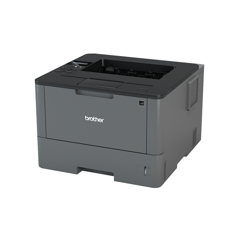 Hl-l5000d - Printer - Laser - A4 - USB