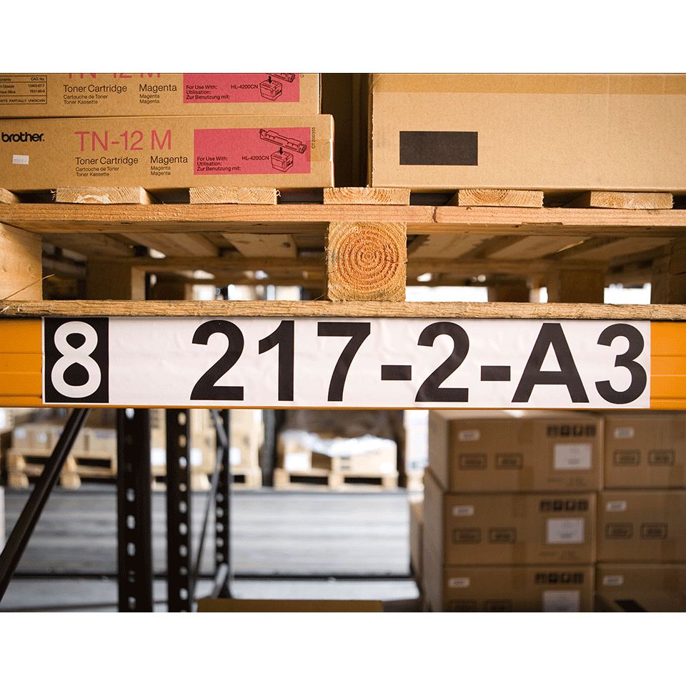 Continuous Label 62mm Wide (dk22246)