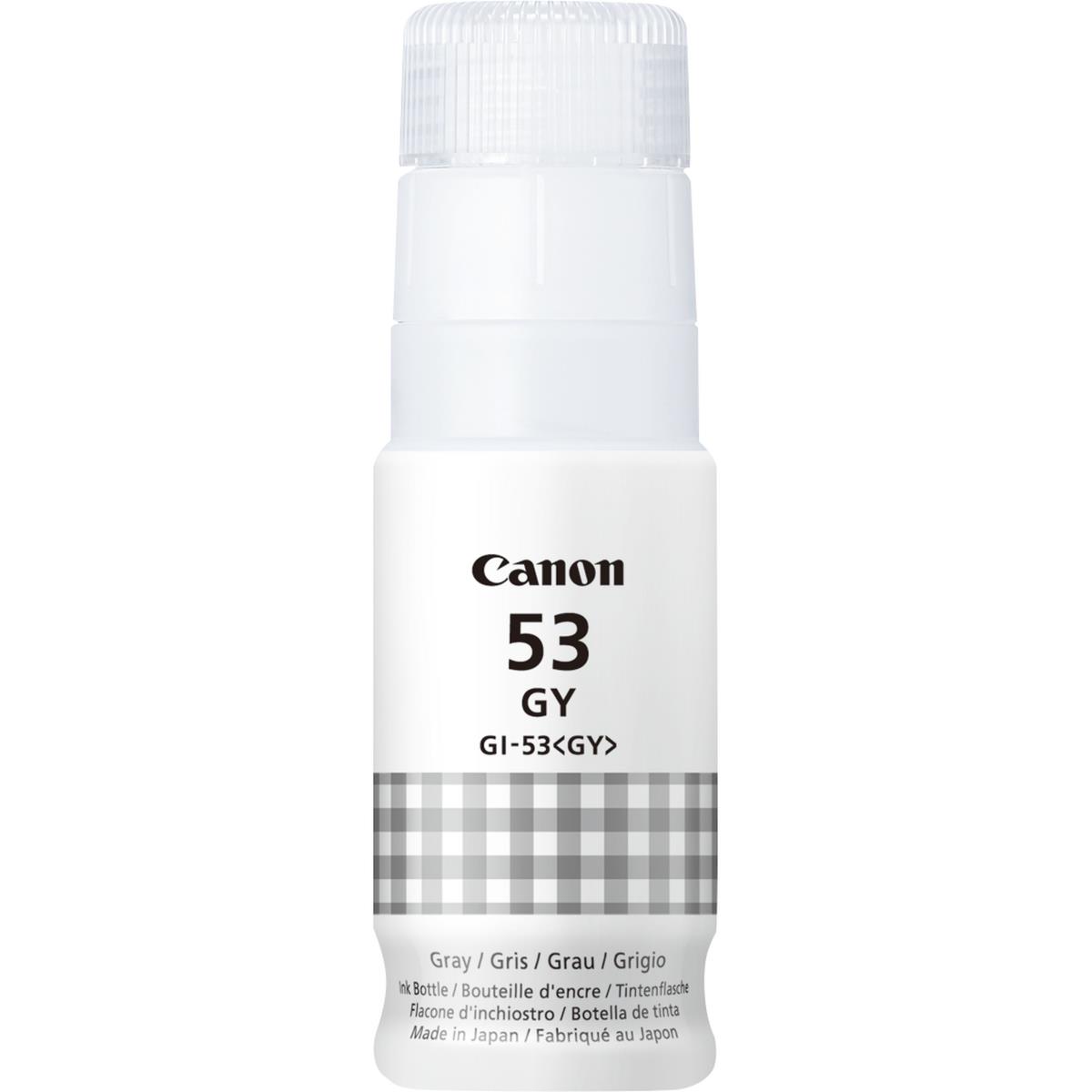 Ink Bottle - Gi-53 Gy Eur - Grey