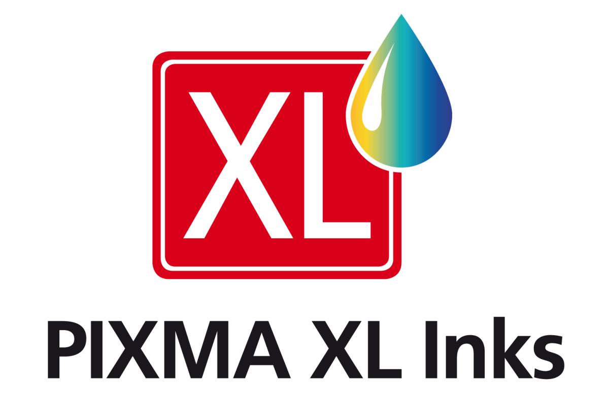 Ink Cartridge - Pg-575xl/ Pg-576xl - High Capacity 15ml - 400 Pages - Black - Value Pack X 2