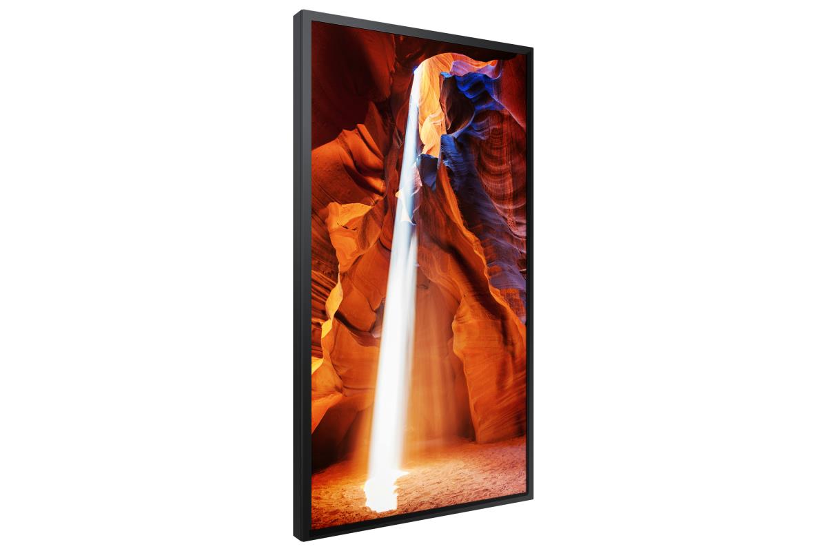 Large Format Monitor - Om55n-s - 55in