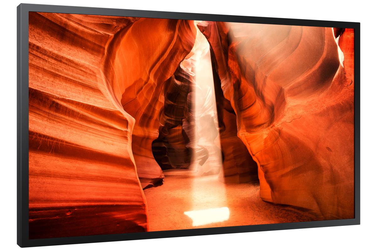 Large Format Monitor - Om55n-s - 55in