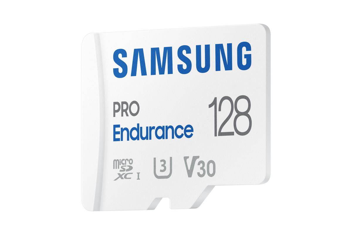 Micro Sd - Pro Endurance 128GB U3