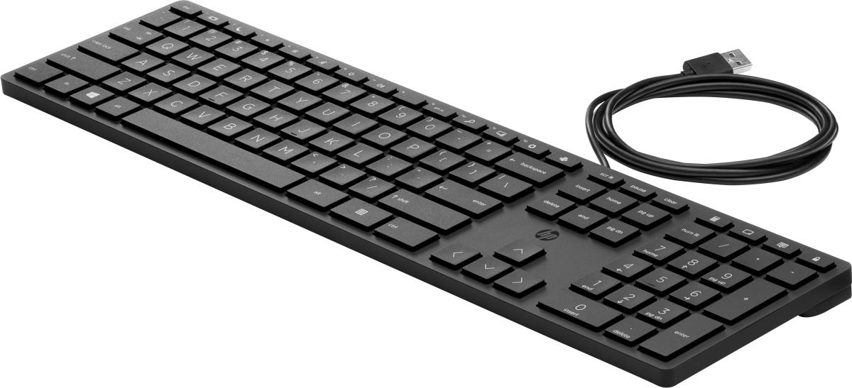 Wired Desktop 320K Keyboard - BULK 12 - Qwerty int'l
