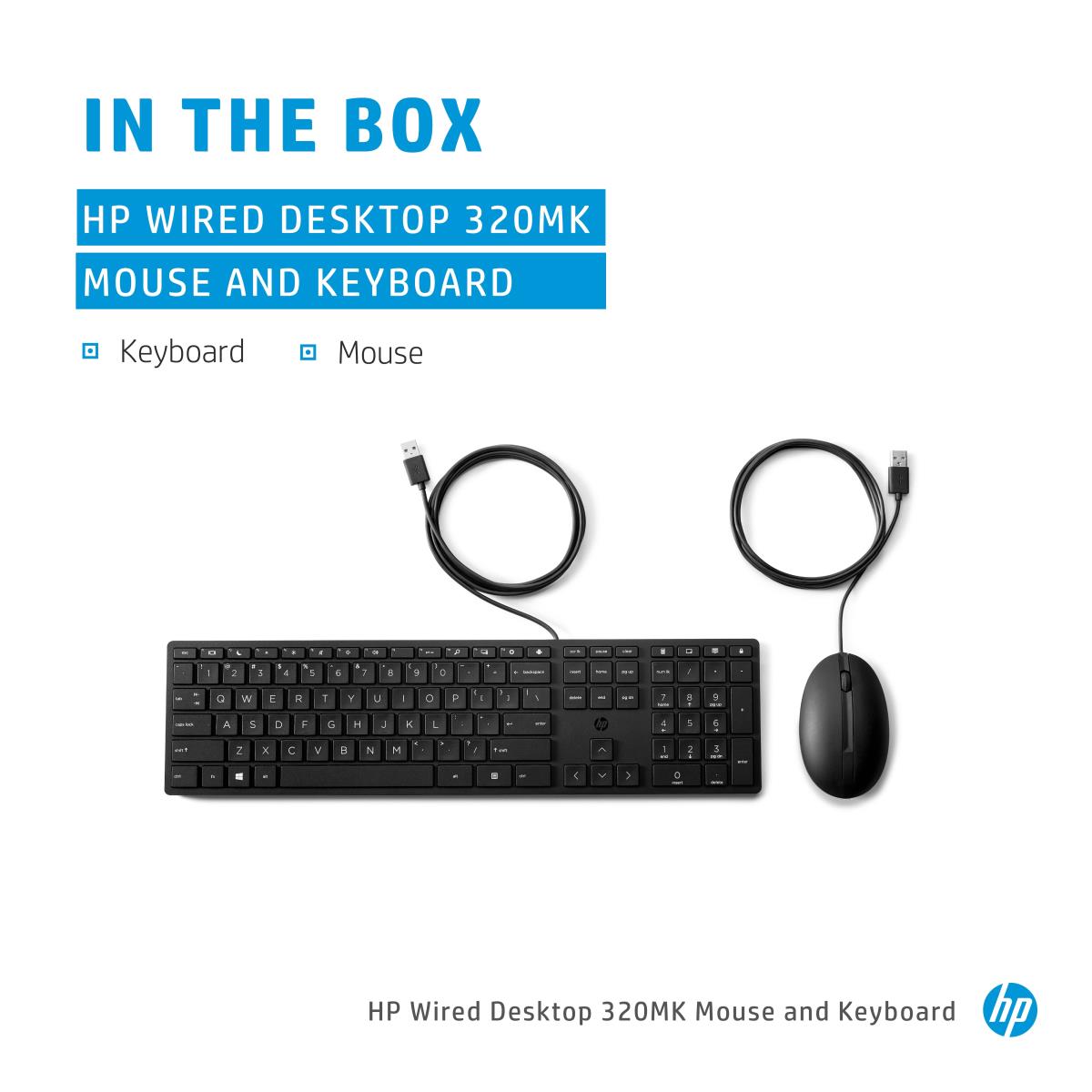 Wired Desktop 320MK Keyboard and Mouse - Qwerty Int'l