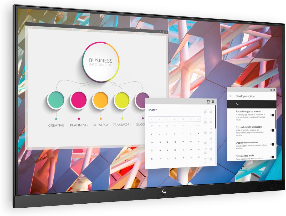 Desktop Monitor - E24 G4 - 24in - 1920x1080 (FHD) - IPS - NO STAND