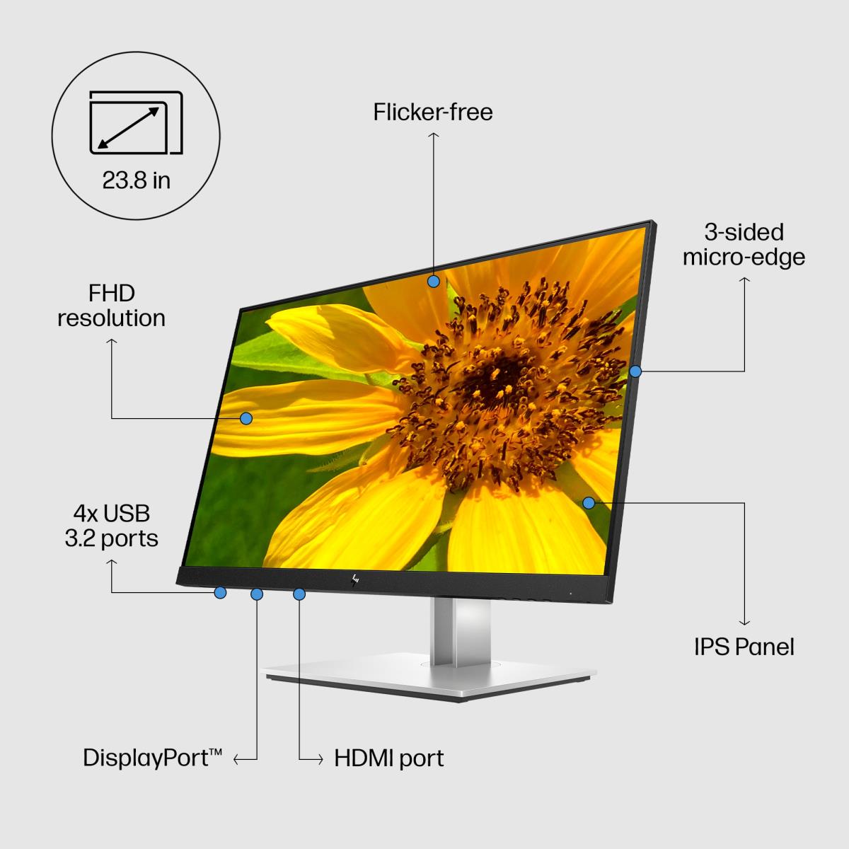 Desktop Monitor - E24 G4 - 24in - 1920x1080 (FHD) - IPS