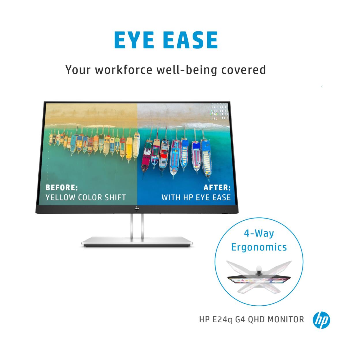 Desktop Monitor - E24q G4 - 24in - 2560x1440 (QHD) - IPS