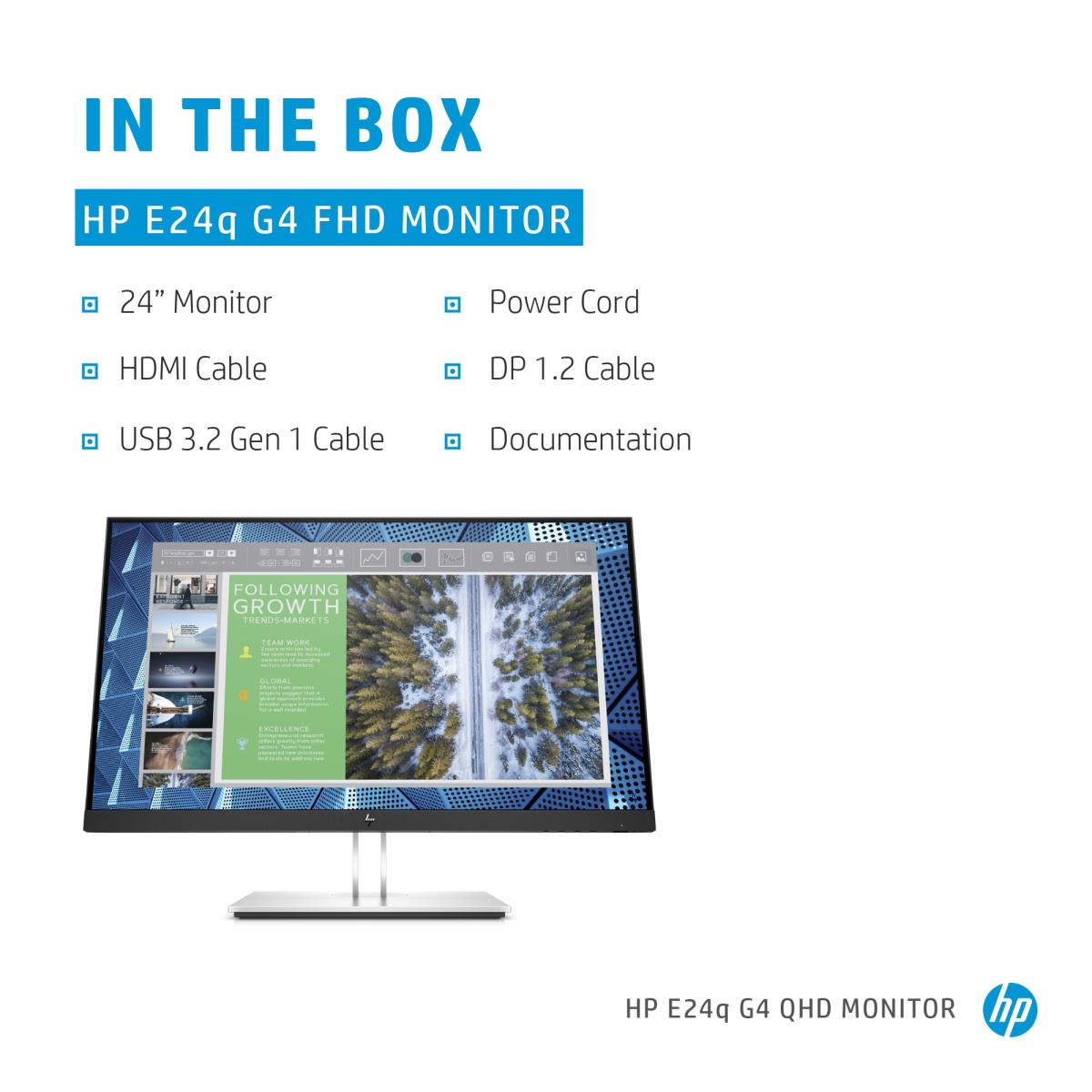 Desktop Monitor - E24q G4 - 24in - 2560x1440 (QHD) - IPS