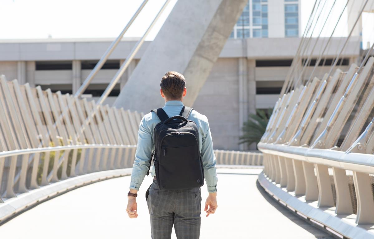 Renew Business - 17.3in Notebook Backpack