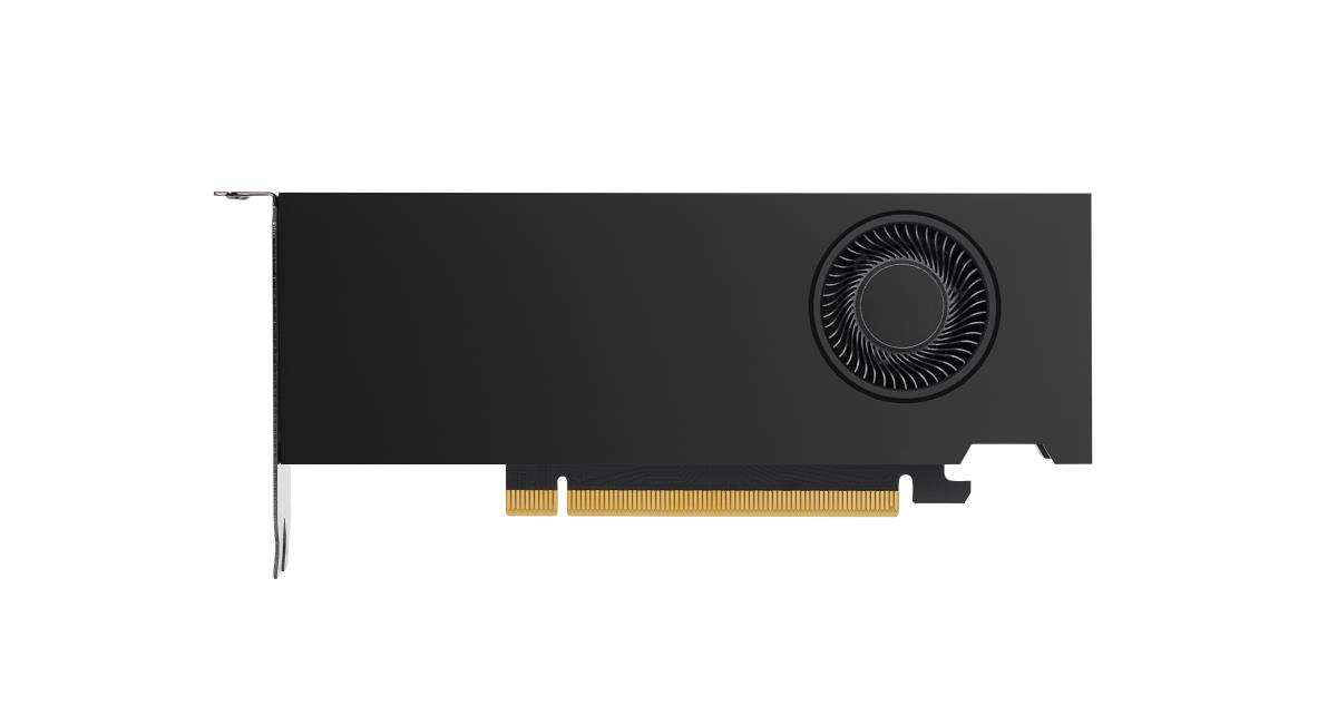 NVIDIA RTX A2000 12 GB 4mDP Graphics Card