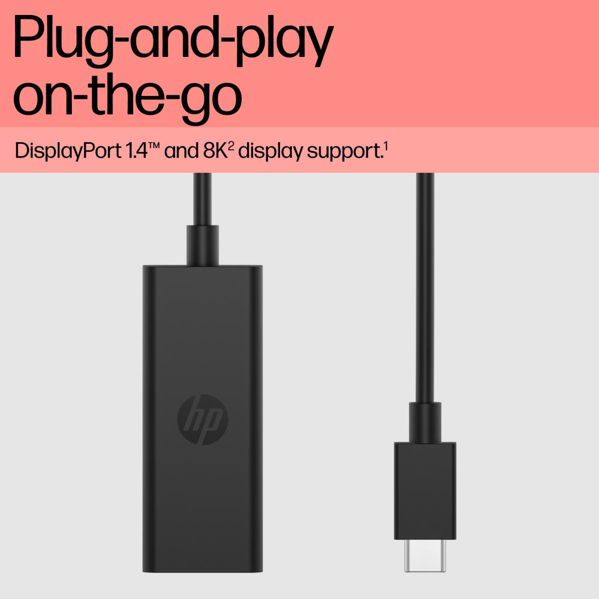 USB-C to DisplayPort Adapter G2