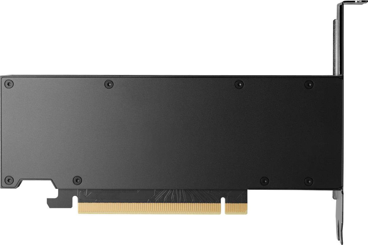 NVIDIA RTX 2000 Ada 16GB Graphics Card