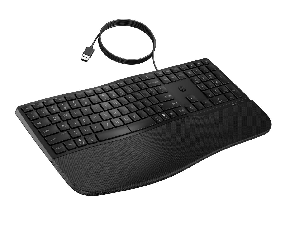 Comfort Wired Keyboard 485 - Qwertzu Swiss-Lux