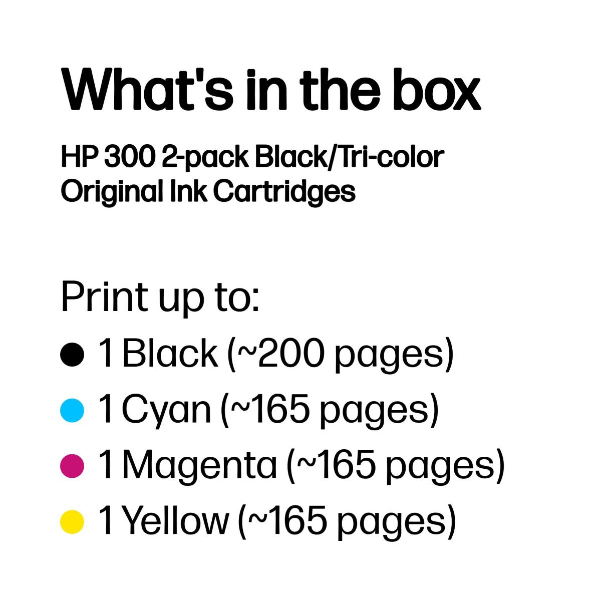 Ink Cartridge - No 300 - 2 Pack (1x Black - 1x Color) - Blister
