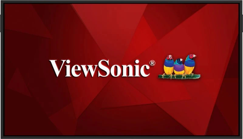 Large format display - ViewBoard CDE65G3-1C - 65in - 3840x2160 (4K UHD) - Android 14