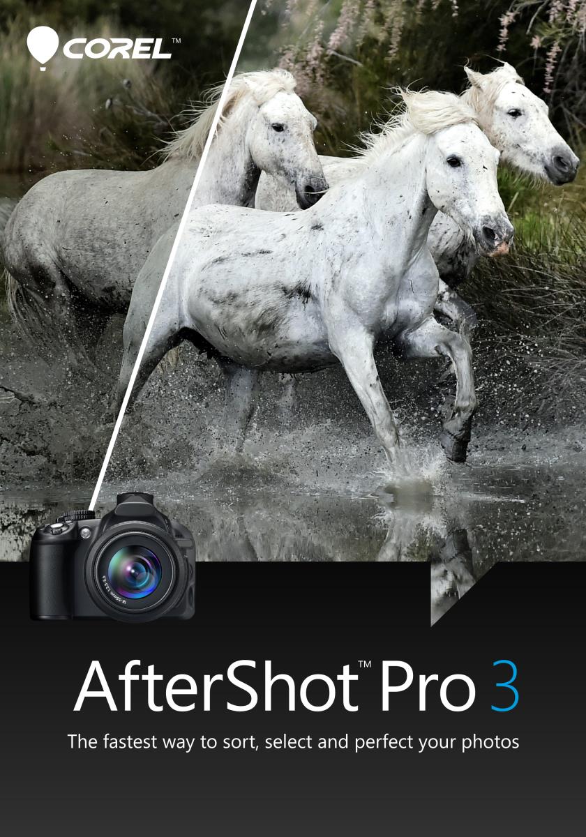 Corel Aftershot Pro 3 (esd)