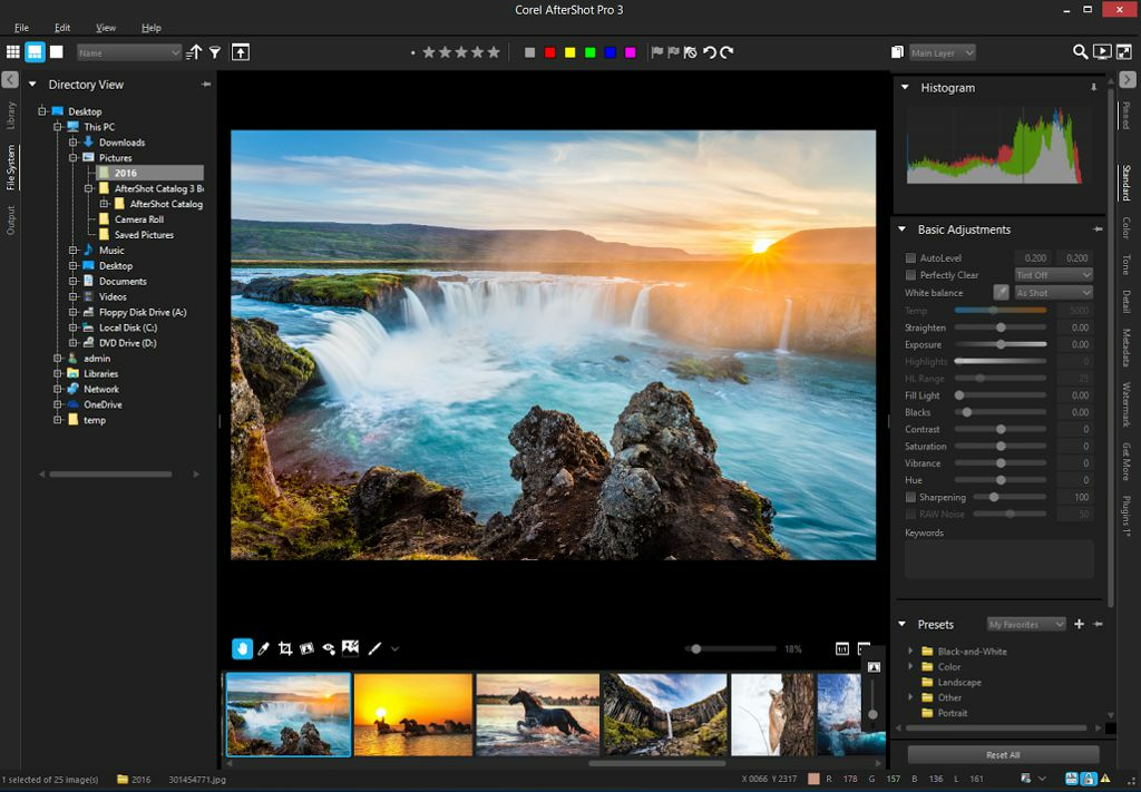 Corel Aftershot Pro 3 (esd)