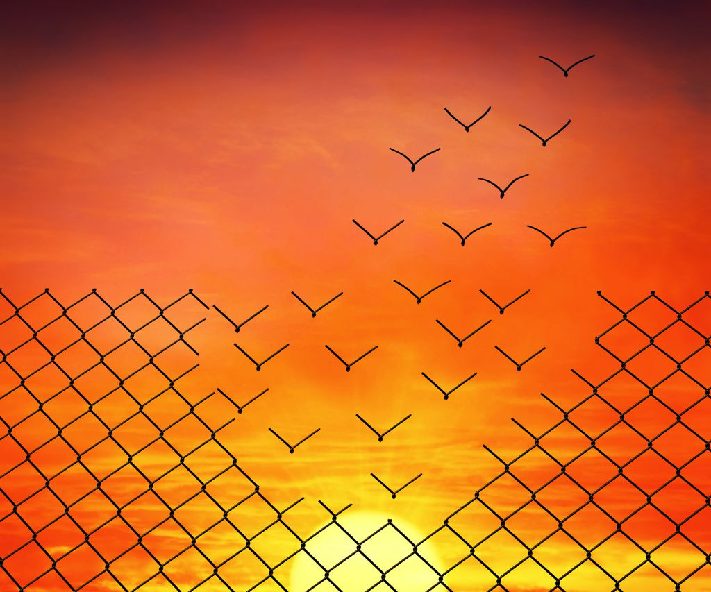 Corel Aftershot Pro 3 (esd)