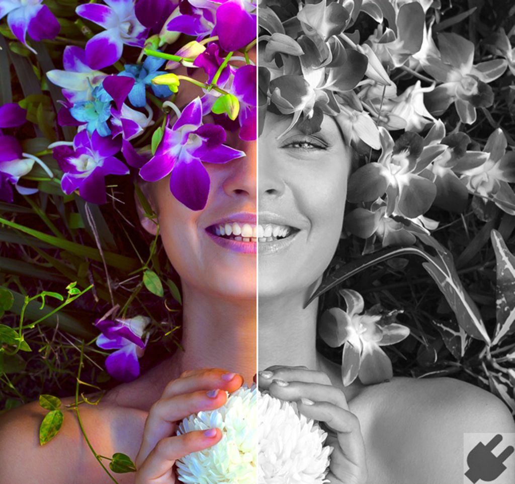 Corel Aftershot Pro 3 (esd)
