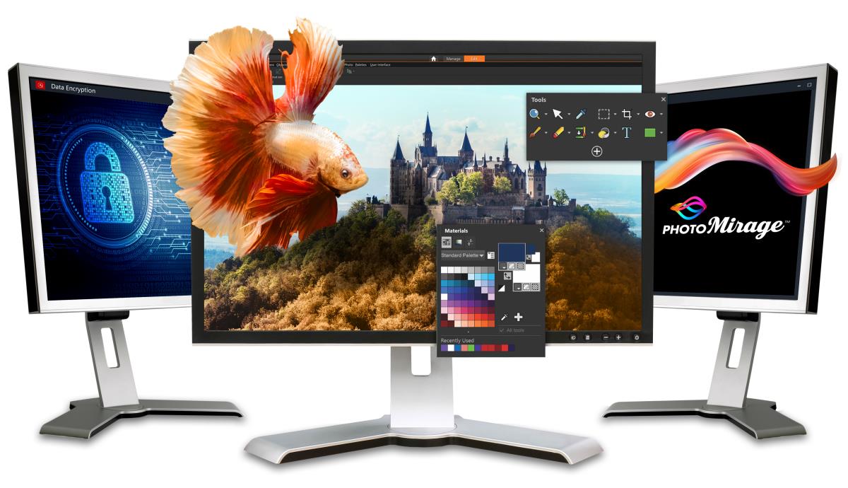 Roxio Creator Nxt 9 - Licence - 1 User - Esd - Windows - Multi Language