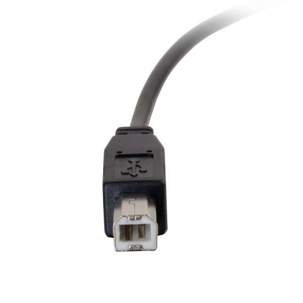 USB 2.0 Type C To Standard B 2m