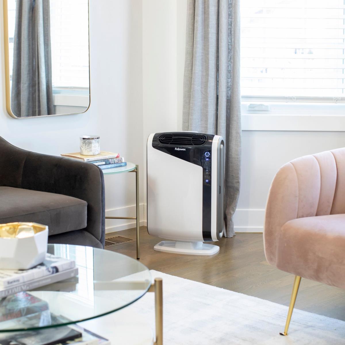 Aeramax Dx 95 Air Purifier Black / White