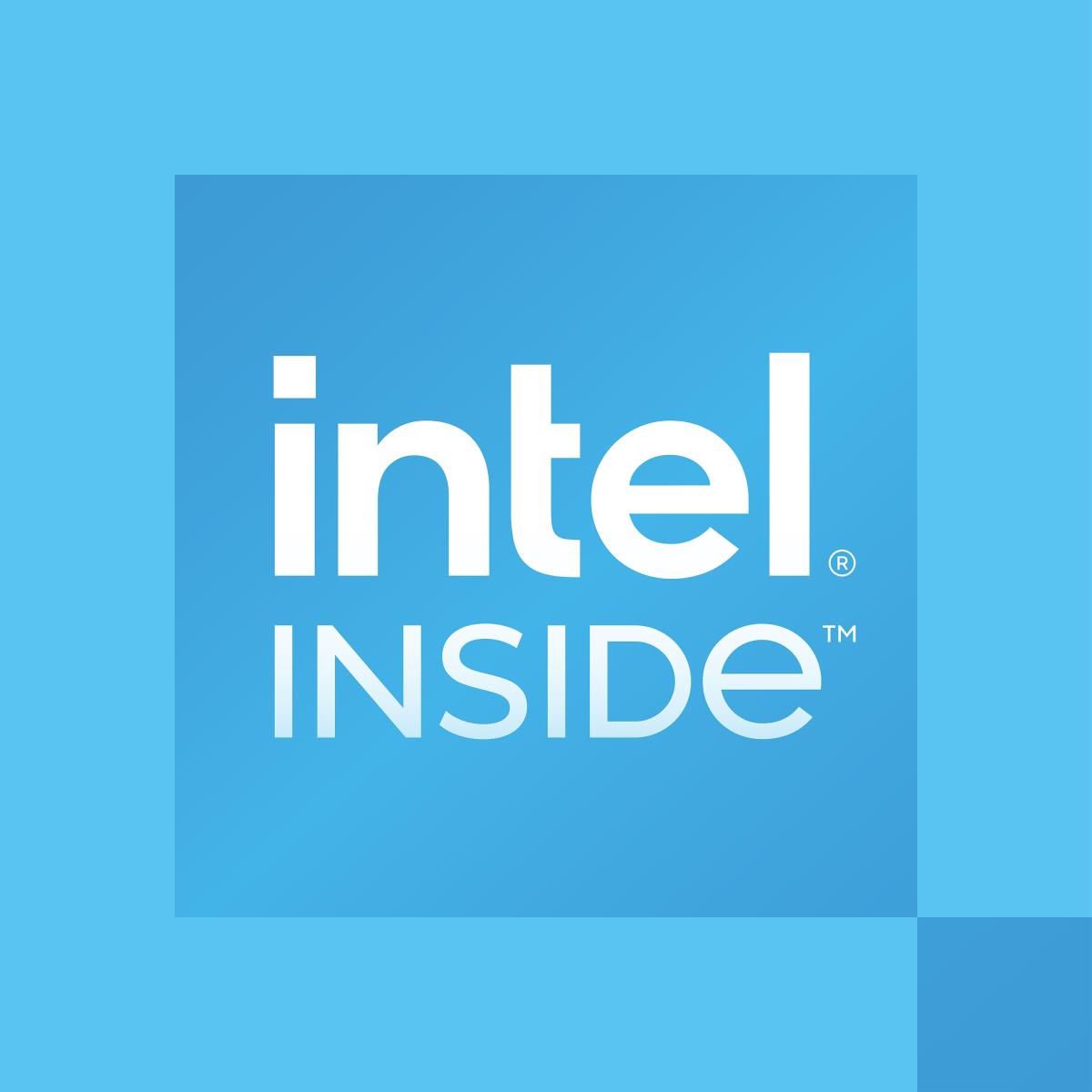 Processor 300 3.9 GHz 6MB Cache Tray