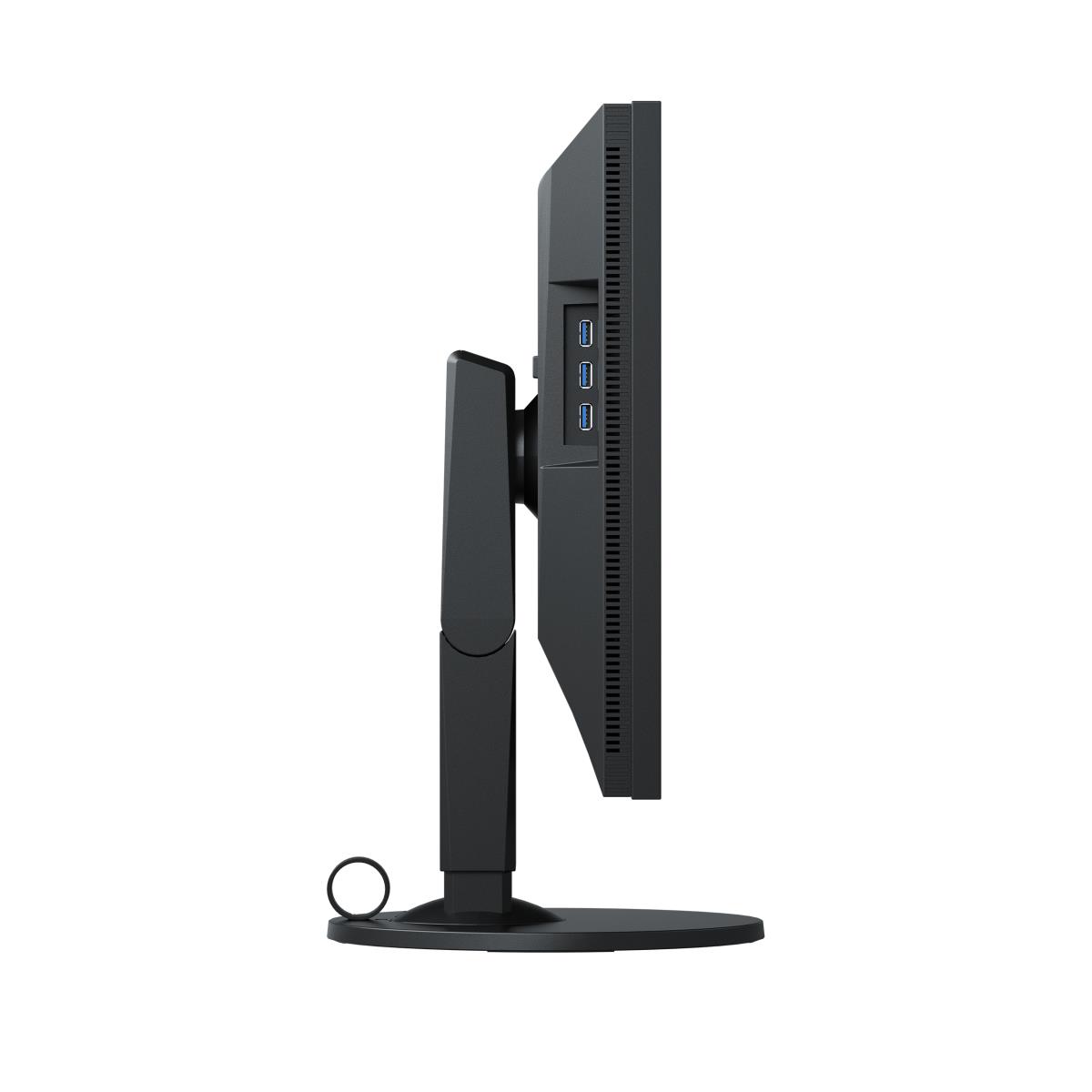 Desktop Monitor - ColorEdge CS2410 - 24in - 1920x1200 (WUXGA) - Black - IPS 14ms