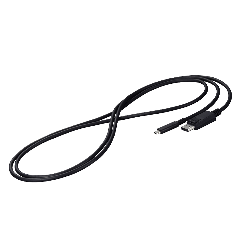 Cable USB-C to DisplayPort 2m Black