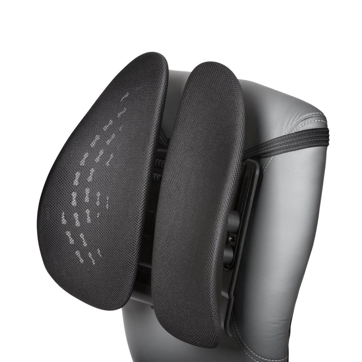 Conform Back Rest With Smartfit System