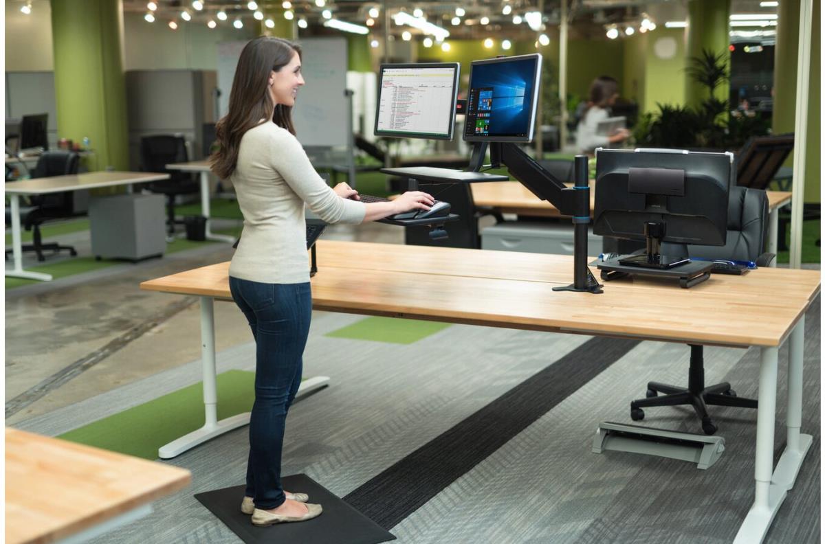 Sit Stand Workstation Dual Arm