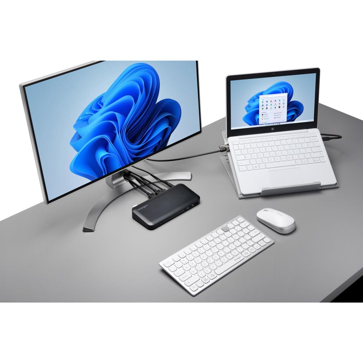 Nanosaver Keyed Laptop Lock