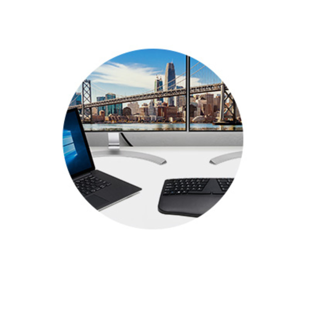 USB-C to Dual DisplayPort 1.2 Video Adapter