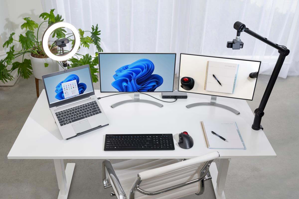L1000 Bicolor Ring Light With Webcam Mount For Video Conferencing