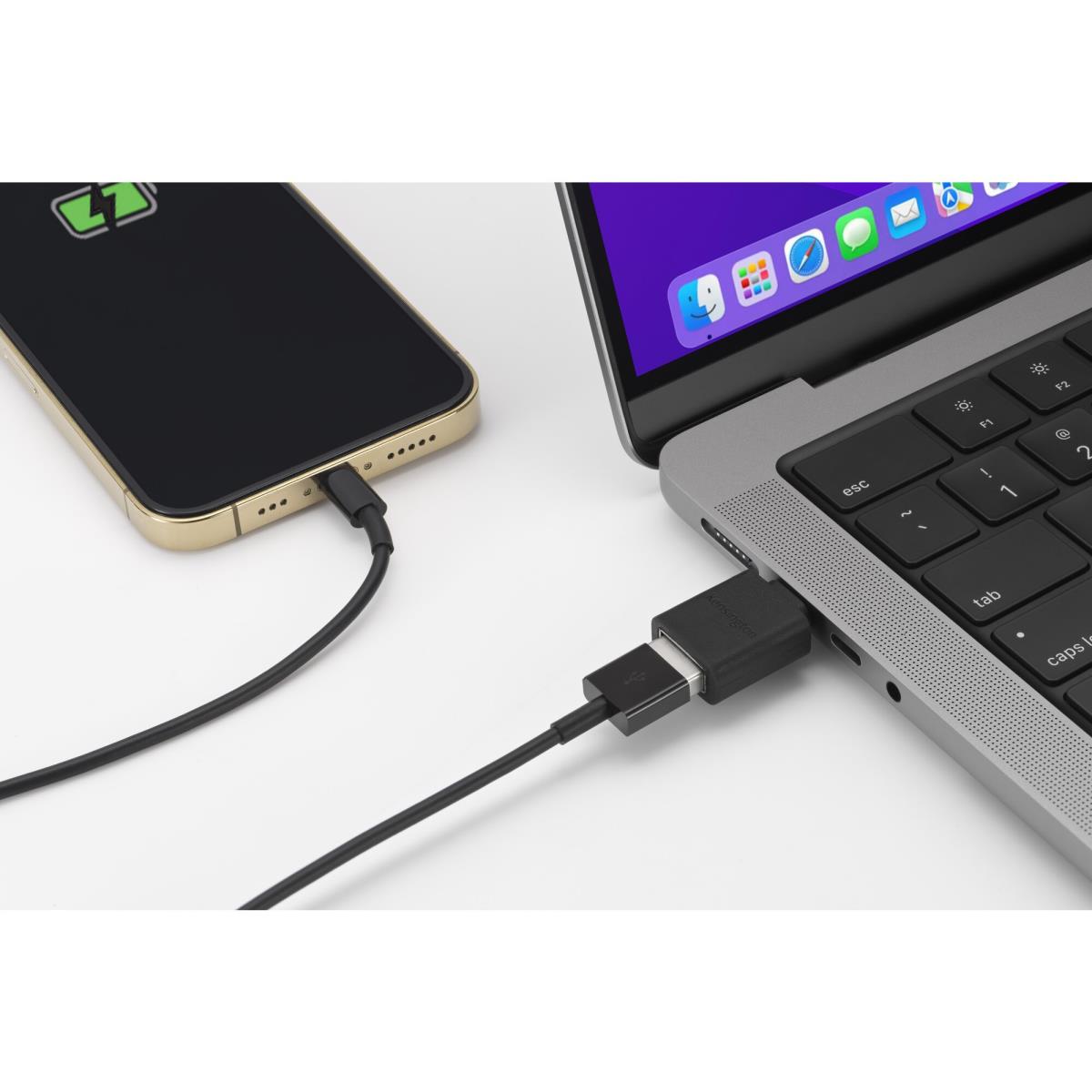 CA1010 USB-C to USB-A M/F Adapter