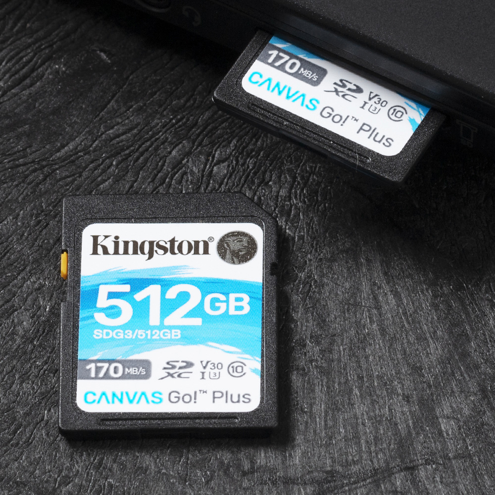 Sdxc Card - Canvas Go Plus  - 512GB - Cl10 - Uhs-l U3