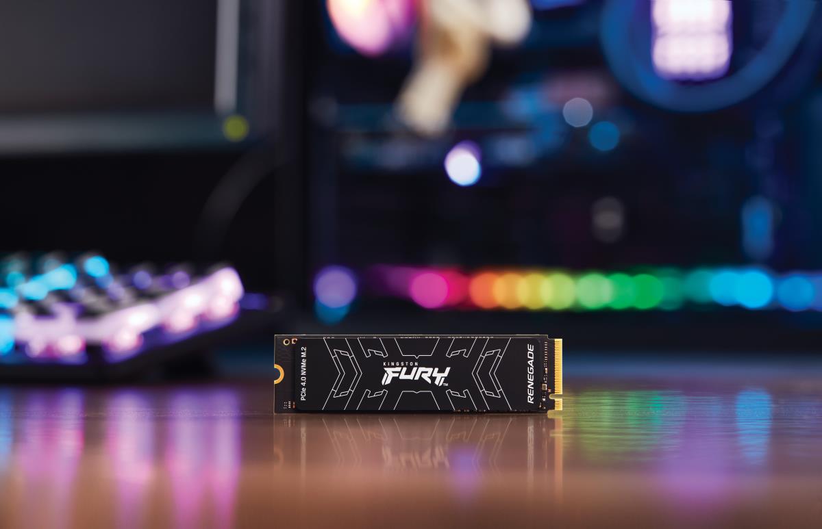 SSD - Fury Renegade - 1TB - Pci-e 4.0 Nvme - M.2 2280