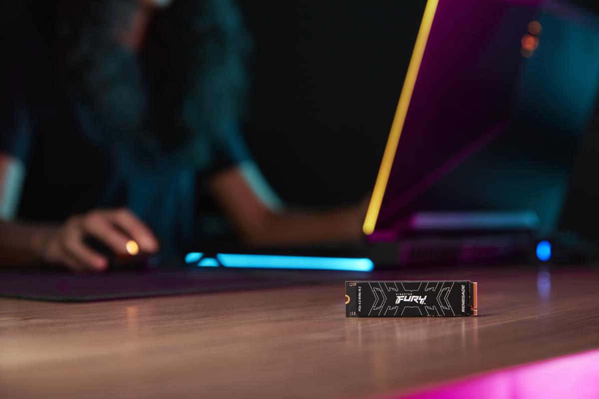 SSD - Fury Renegade - 2TB - Pci-e 4.0 Nvme - M.2 2280