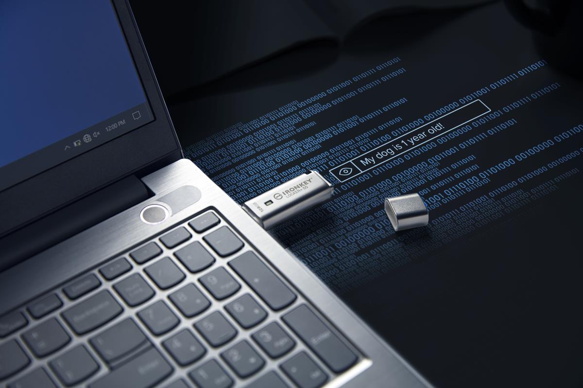 Ironkey Locker+ 50 - 128GB USB Stick - USB 3.2 - Aes 256-bit Encrypted