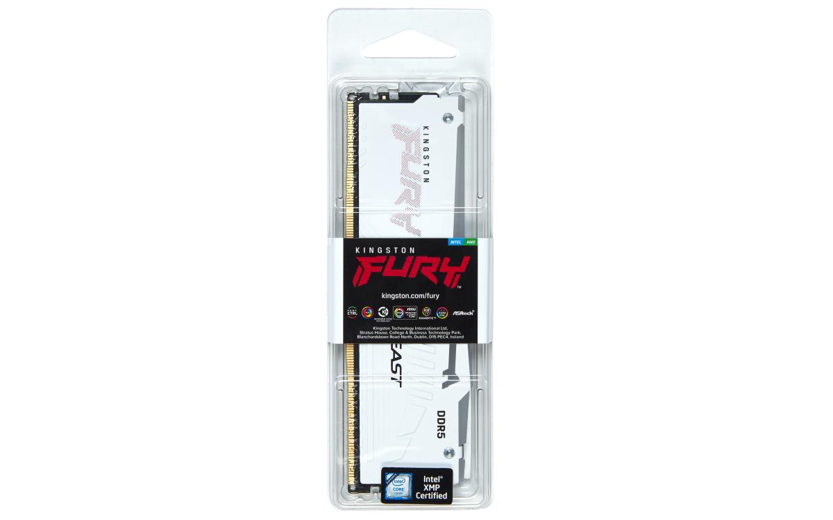 16GB Ddr5 5600mt/s Cl36 DIMM Fury Beast White RGB Expo