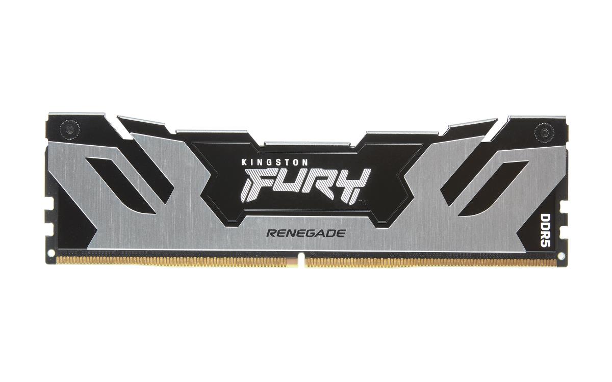 32GB Ddr5 8000mt/s Cl38 DIMM (kit Of 2) Renegade Silver Xmp